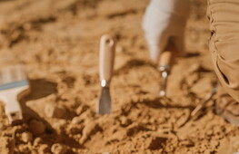 Portrait of a dinosaur