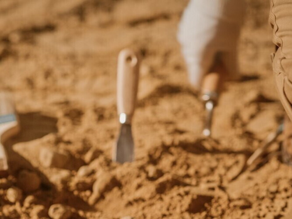 Portrait of a dinosaur