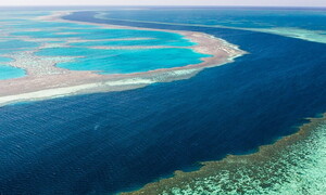 Sunscreens harmful to coral reefs
