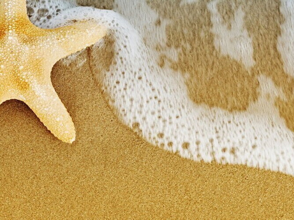 Stelle marine sentinelle dei cambiamenti climatici