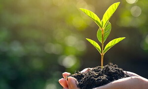 World Environment Day 2021