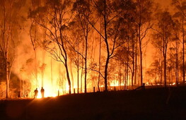 Australian wildfires, figures and consequences