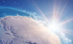 Scoperti milioni di nidi di pesci di ghiaccio in Antartide