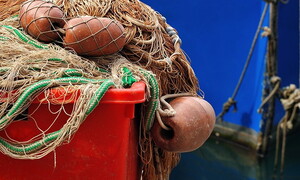 Approda in Italia la prima edizione della Settimana della pesca sostenibile