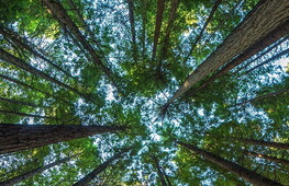 Giornata mondiale della natura