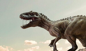 T-Rex: intelligente come un coccodrillo o una scimmia?