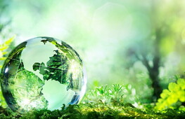 Giornata mondiale dell’ambiente 2023