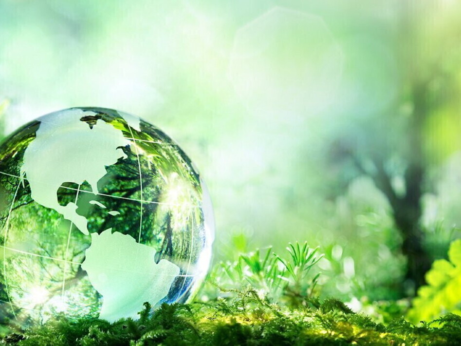 Giornata mondiale dell’ambiente 2023