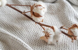 Magliette per bambole