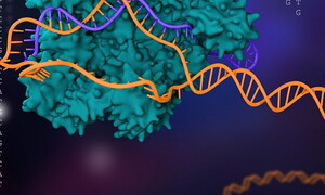 Crispr-Cas9 la fabbrica dei geni