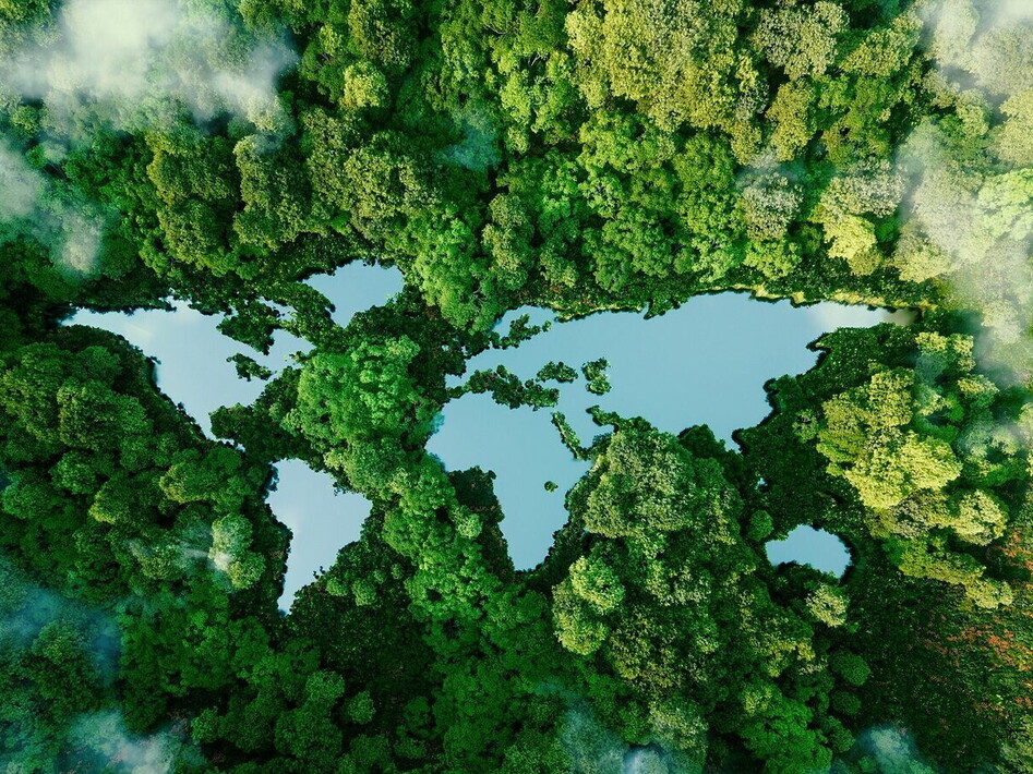 Un terzo degli alberi del mondo rischia l'estinzione