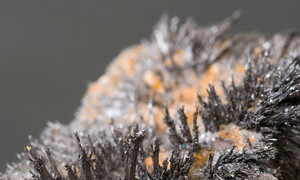 At the origin of rocks: the secrets of paleomagnetism