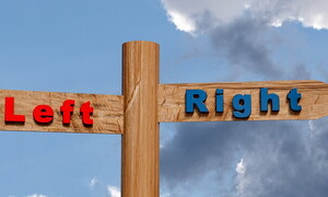 The reasons of the left