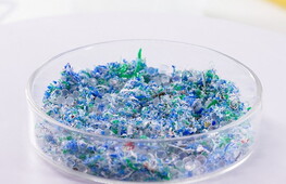 Plastica negli anfipodi della Fossa delle Marianne