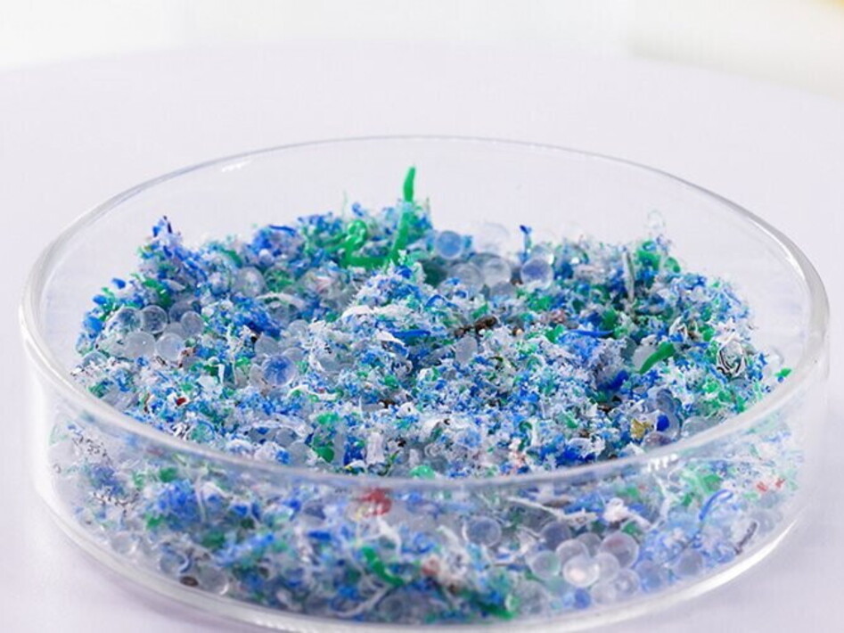 Plastica negli anfipodi della Fossa delle Marianne