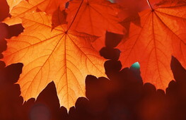 Primo giorno d’autunno