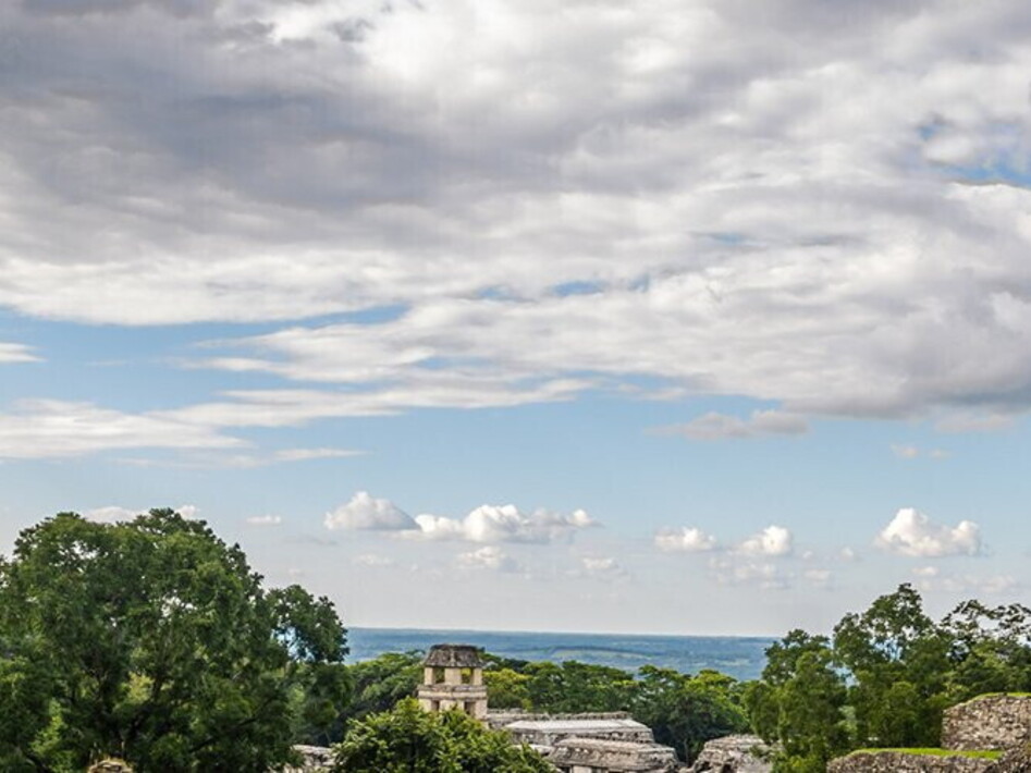 Learning from the Maya