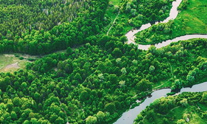 Giornata Internazionale di Azione per i Fiumi