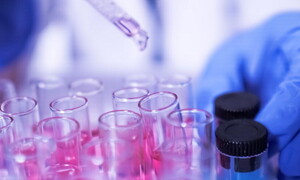 Che lingua parla la scienza?