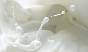 Is raw milk safe to drink?