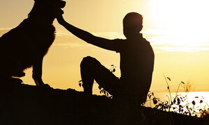 La connessione tra uomo e cane