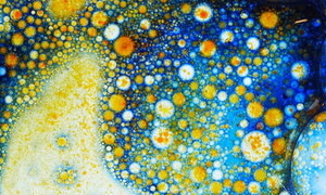 Microbi che sfidano il tempo