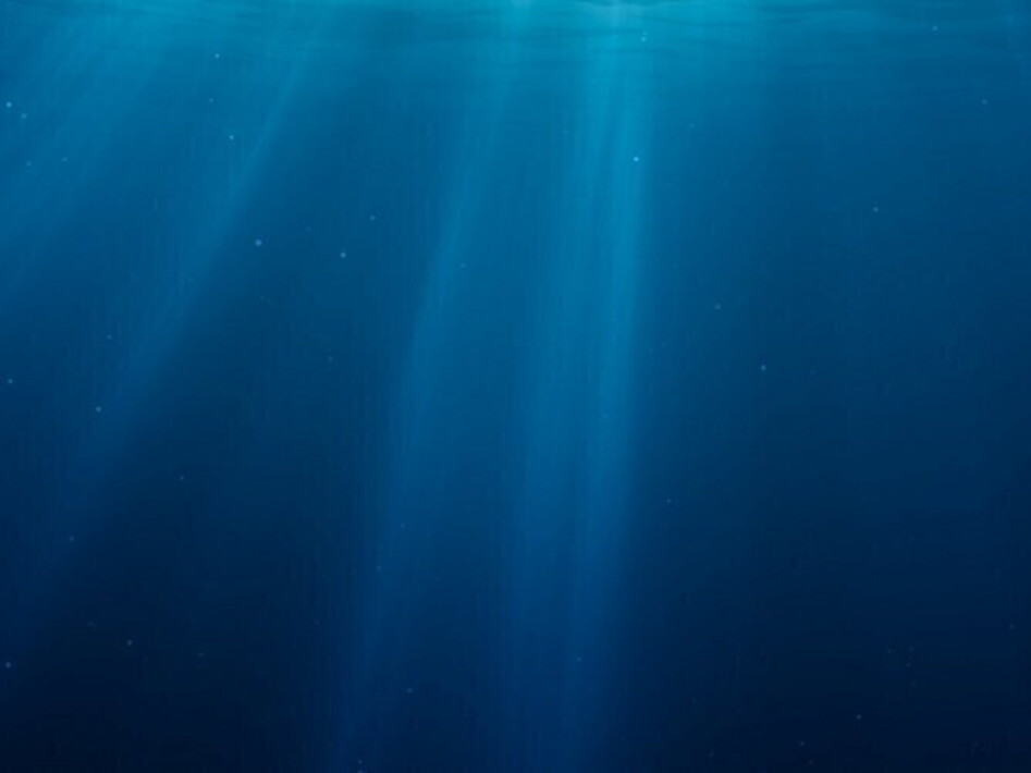 The race for metals at the bottom of the sea