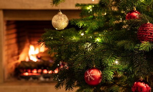 The origin of the Christmas tree: a millennia-old tradition