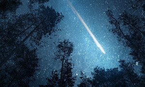 Twinkle twinkle little star 