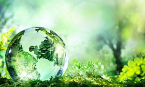 Giornata mondiale dell’ambiente 2023