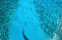 Indovina chi viene a cena