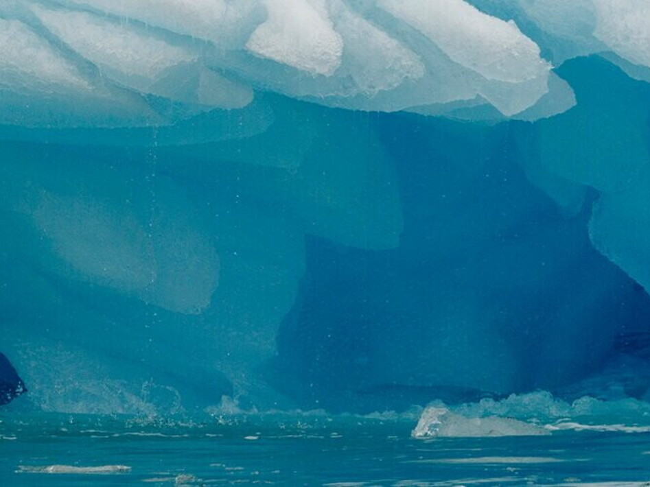 Alla scoperta dei cavalieri dei ghiacci