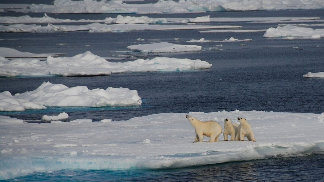 Alla scoperta dei cavalieri dei ghiacci