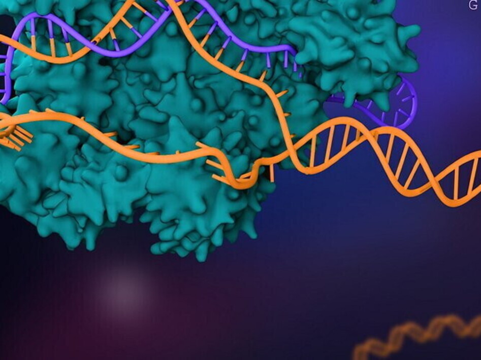 Crispr-Cas9 la fabbrica dei geni