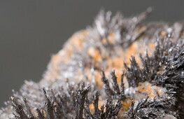 All’origine delle rocce: i segreti del paleomagnetismo