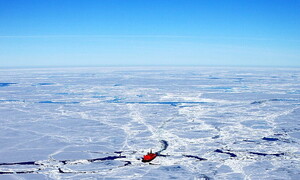 Which is coldest, the Arctic or Antarctica? 