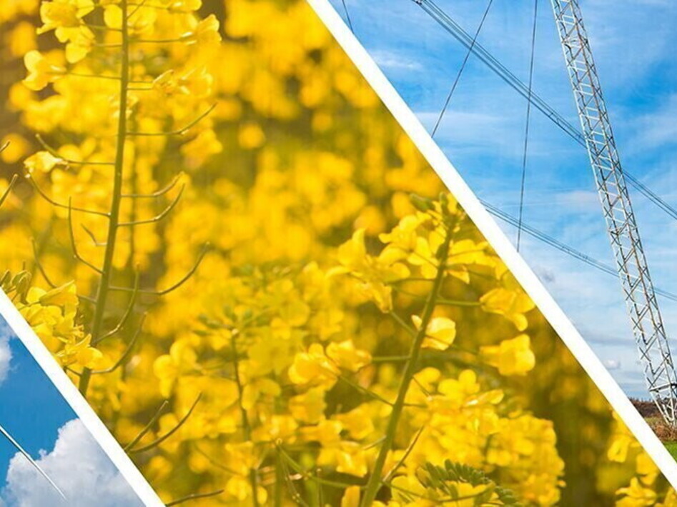 Energia e fonti rinnovabili: a che punto siamo?