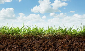 Pubblicato rapporto Fao sullo stato dei suoli