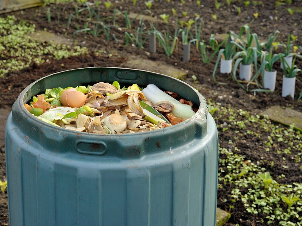 Scarti di cibo all’interno di una compostiera