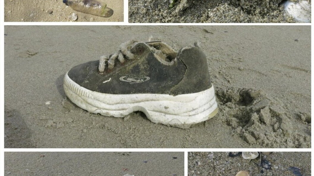 Esempi di rifiuti che si possono trovare su una spiaggia (Foto E. Turicchia)
