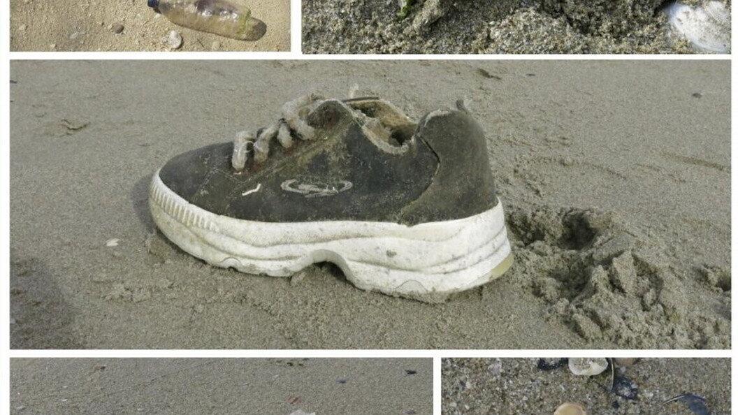 Esempi di rifiuti che si possono trovare su una spiaggia (Foto E. Turicchia)