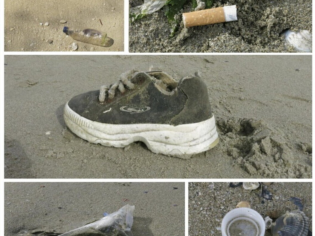 Esempi di rifiuti che si possono trovare su una spiaggia (Foto E. Turicchia)