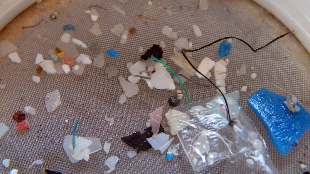 Microplastiche (SEA2 S. Moret)