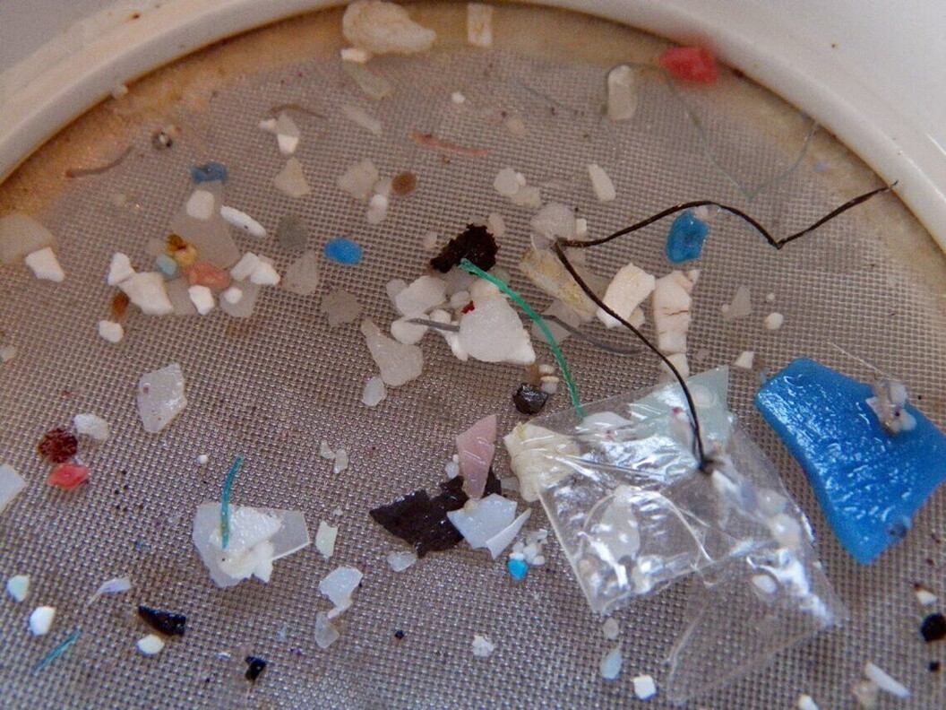 Microplastiche (SEA2 S. Moret)