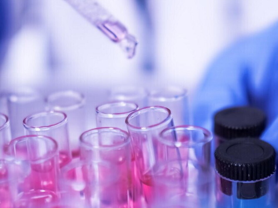 Che lingua parla la scienza?