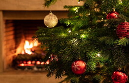 L’origine dell’albero di Natale: una tradizione millenaria