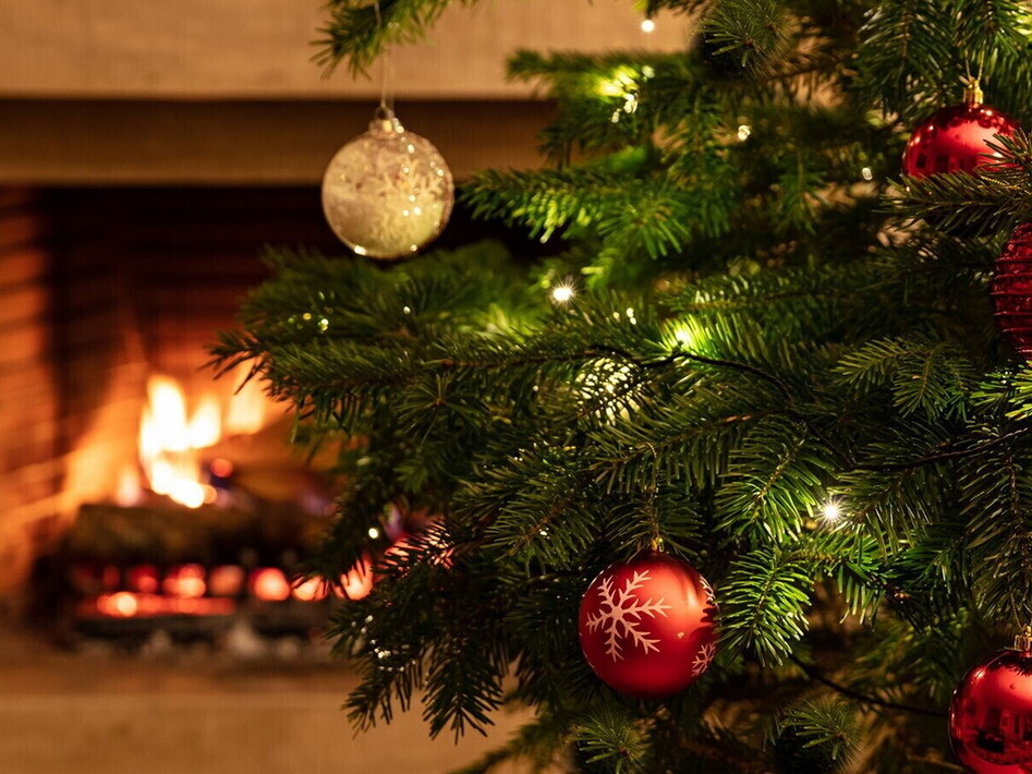  L’origine dell’albero di Natale: una tradizione millenaria 