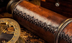 Darwin e il suo viaggio intorno al mondo