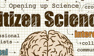 Citizen science, quando la ricerca è fatta dai cittadini