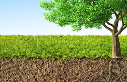 Sano come un ratto (nudo)